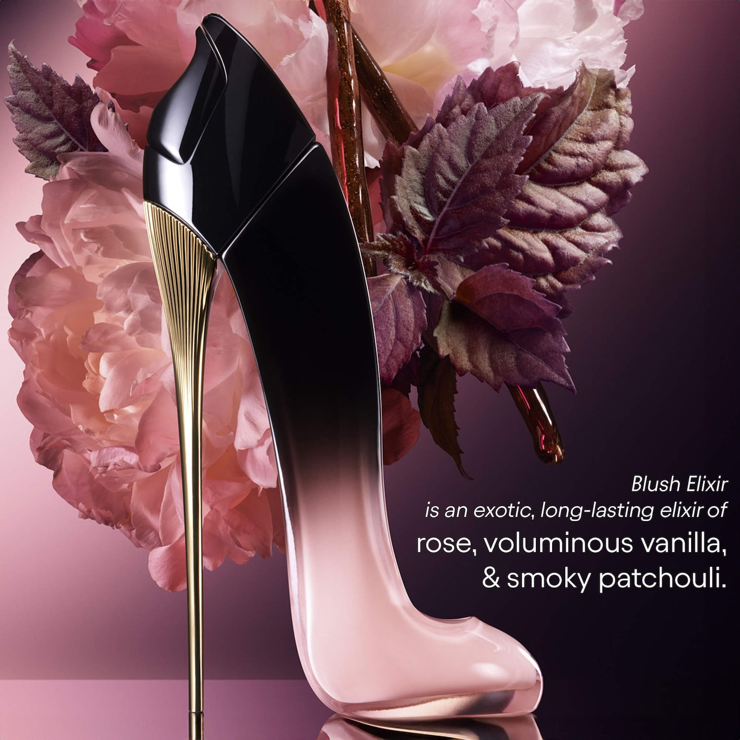 絵本・児童書 Carolina herrena good girl blush elixir image_5.jpg?v=638841194222100000