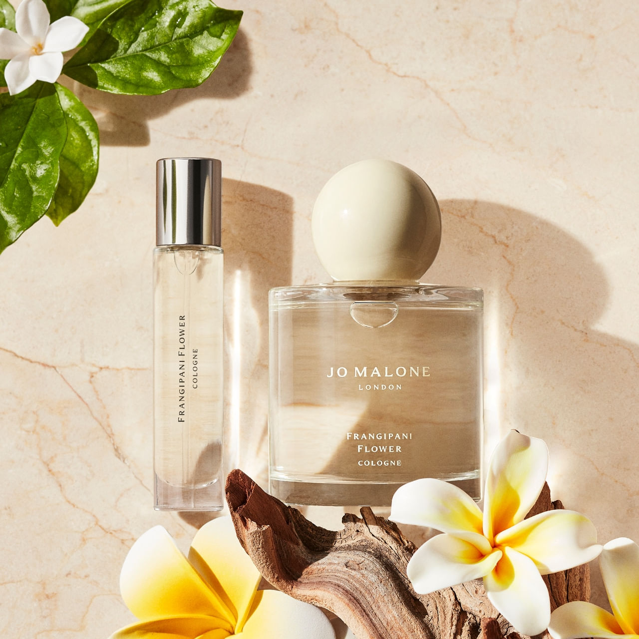 Jo Malone London Frangipani Flower Cologne – Jo Malone