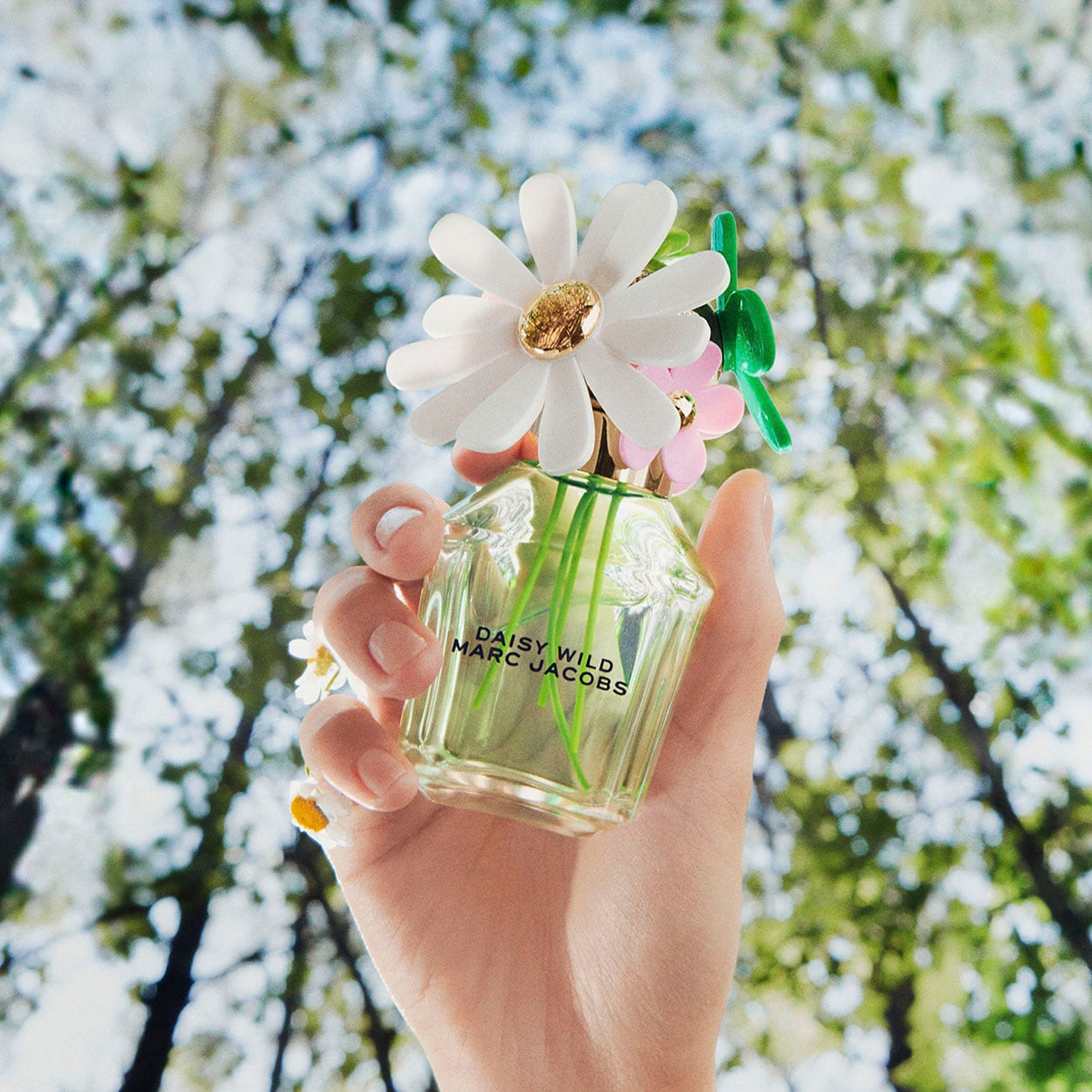 Alhudapk Com Discontinued Marc Jacobs Perfume Daisy Dream Marc