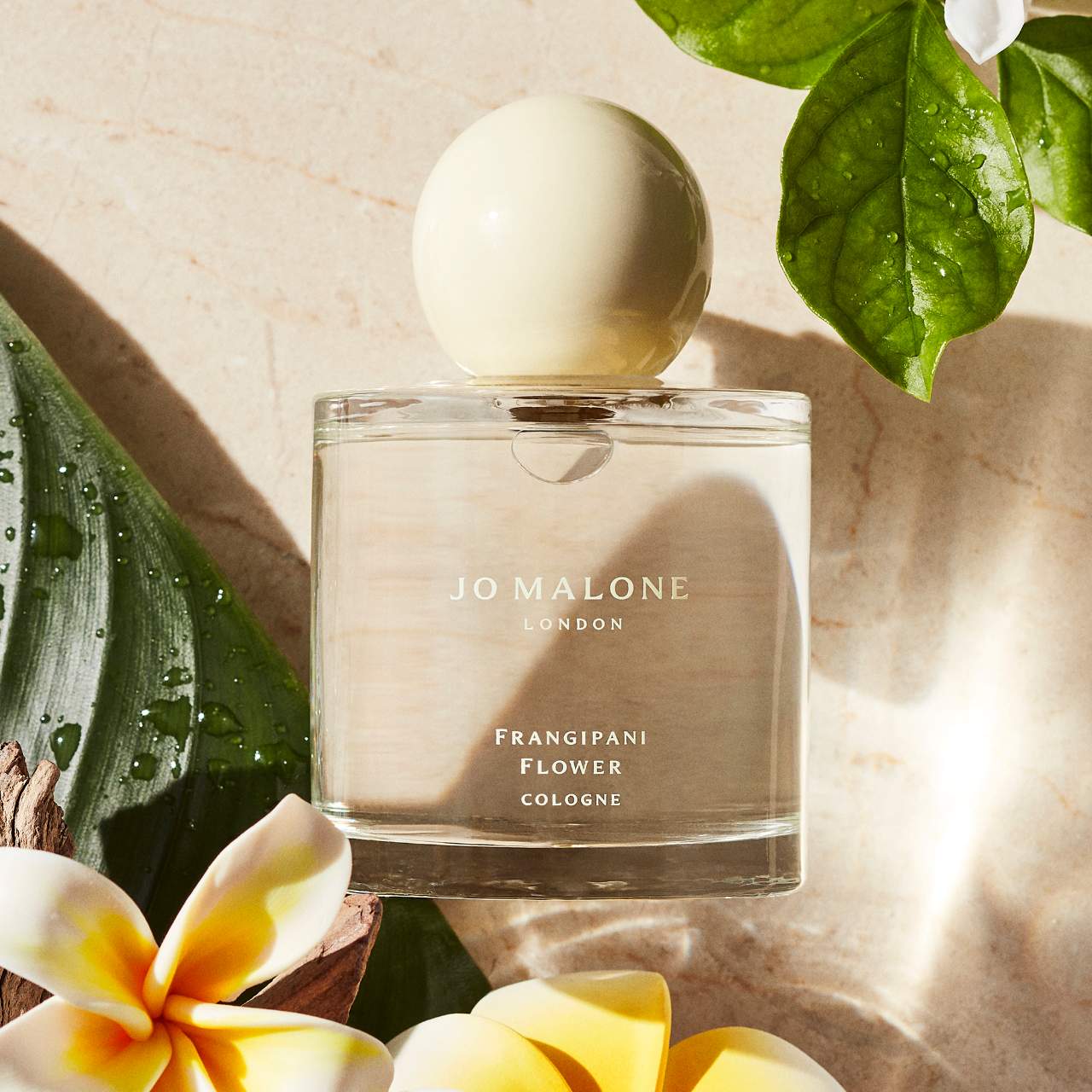 【即納】 Frangipani Shop Health Women's | Cologne Flower 香水(ユニセックス)