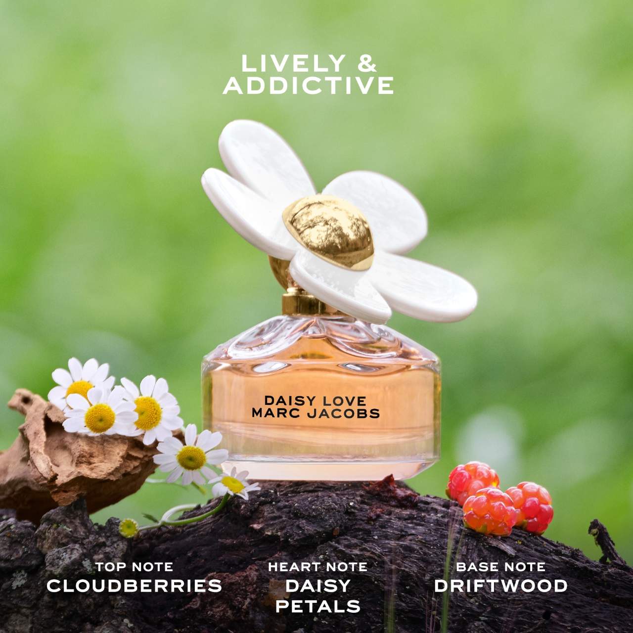 Hoa Marc Marc Jacobs Daisy Love Perfume Price Nước Hoa Daisy Marc