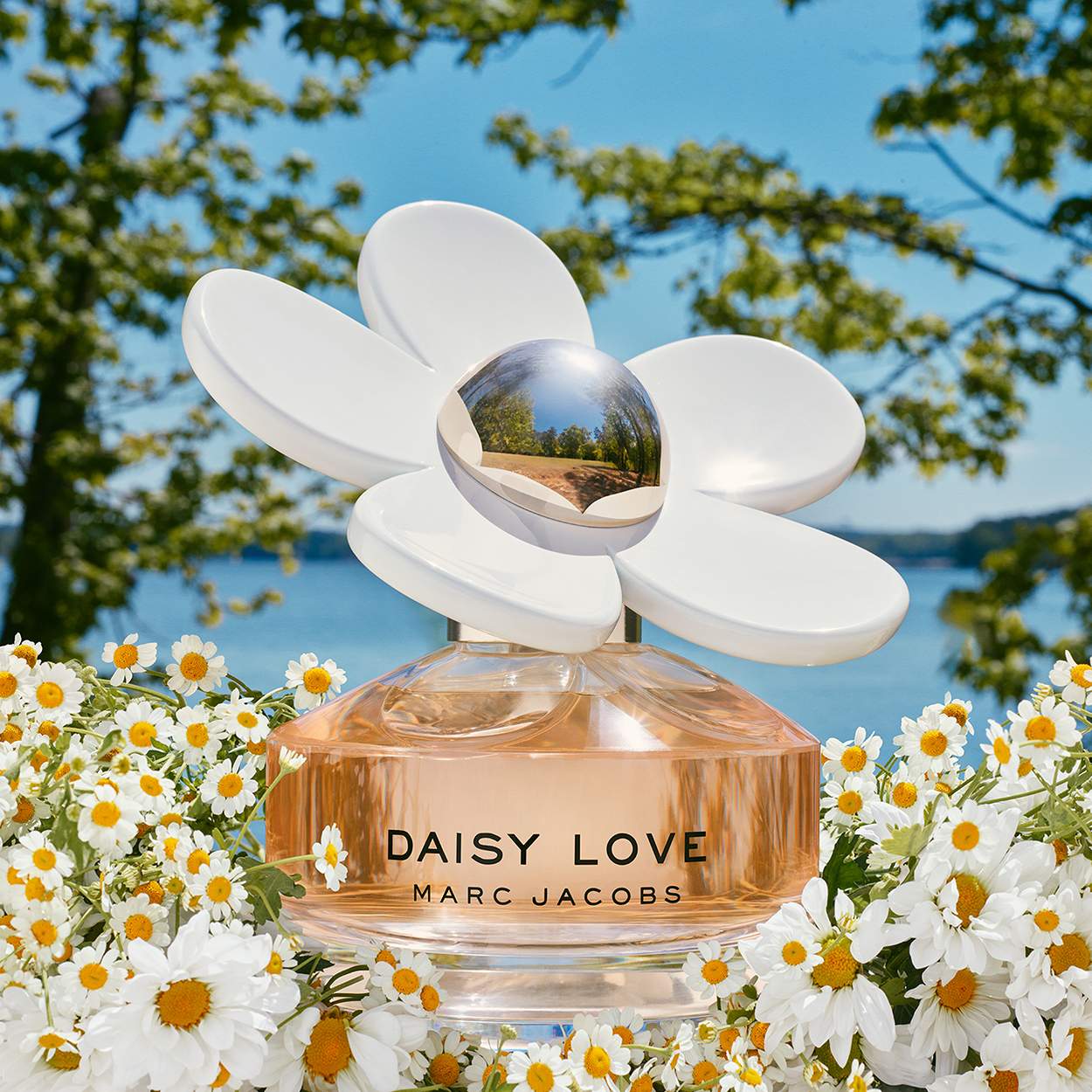 Daisy Love Perfume by Marc fashion Jacobs, 3.4 oz EDT