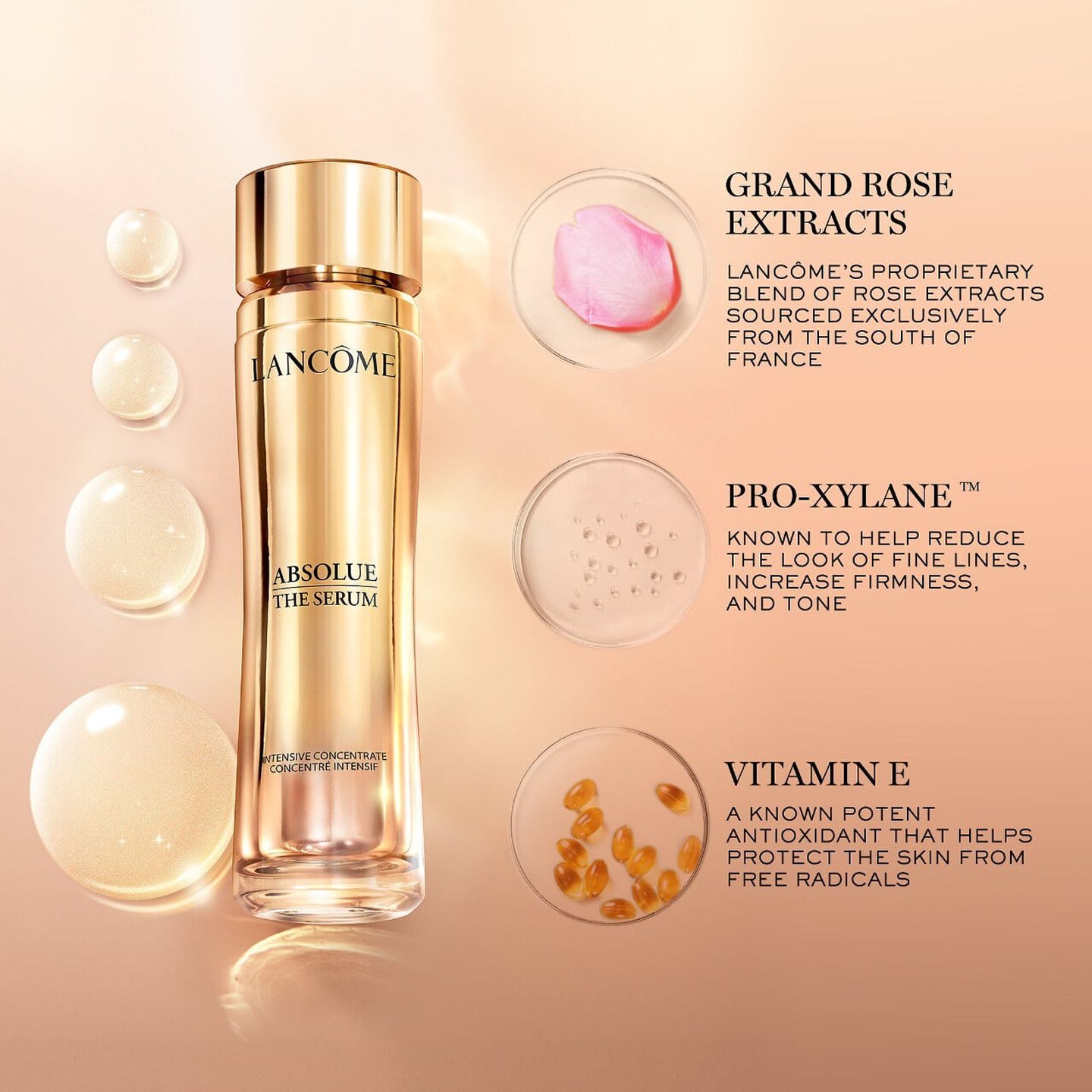 【破格値下げ】 Serum The Absolue | Shop Health Women's Serum