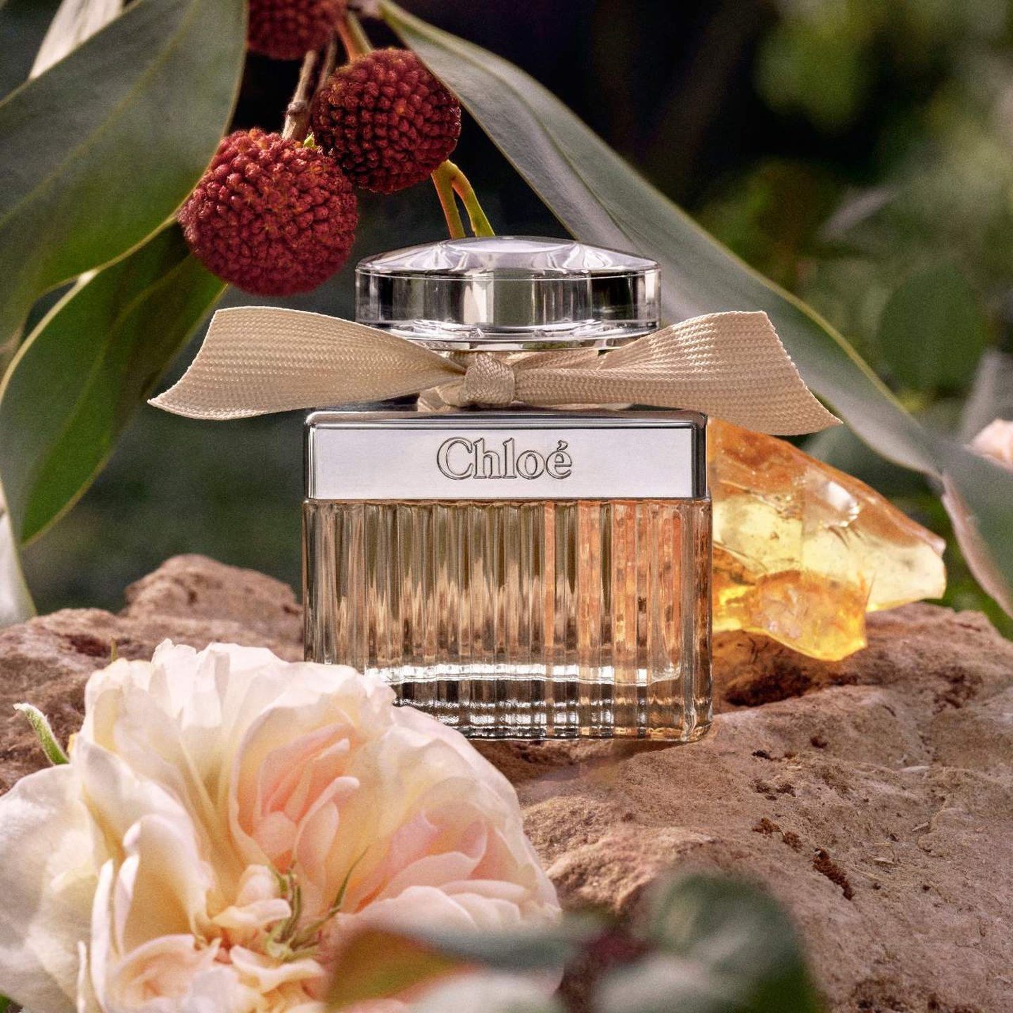 Amazon.com : Chloe for Women Eau de Parfum Spray, 2.5 Ounce