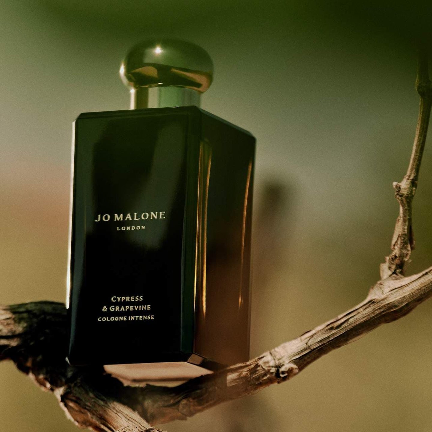 商品画像：Cypress & Grapevine Cologne Intense | Jo Malone London 2
