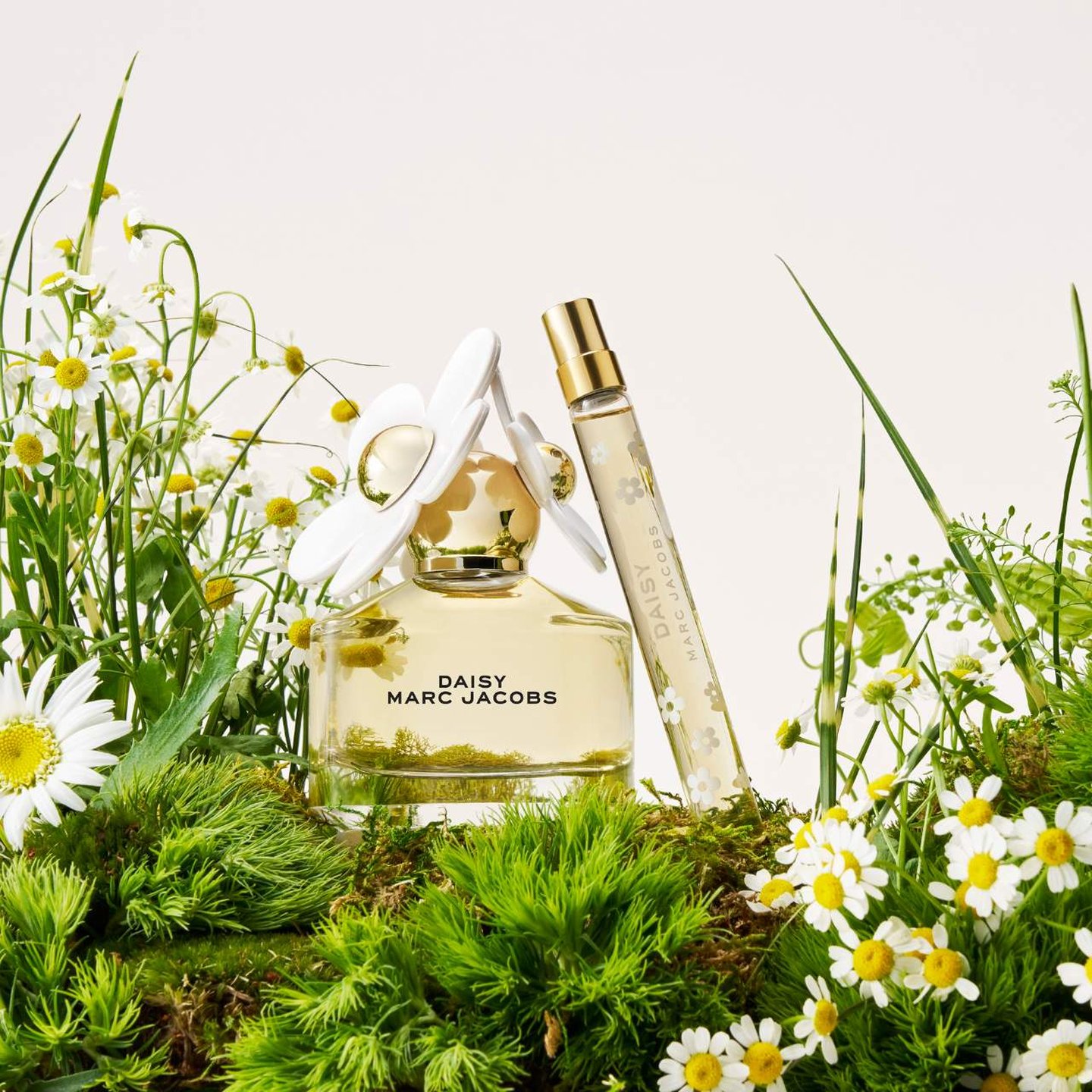 WOODY SECRET an aesthetic life PERFUME