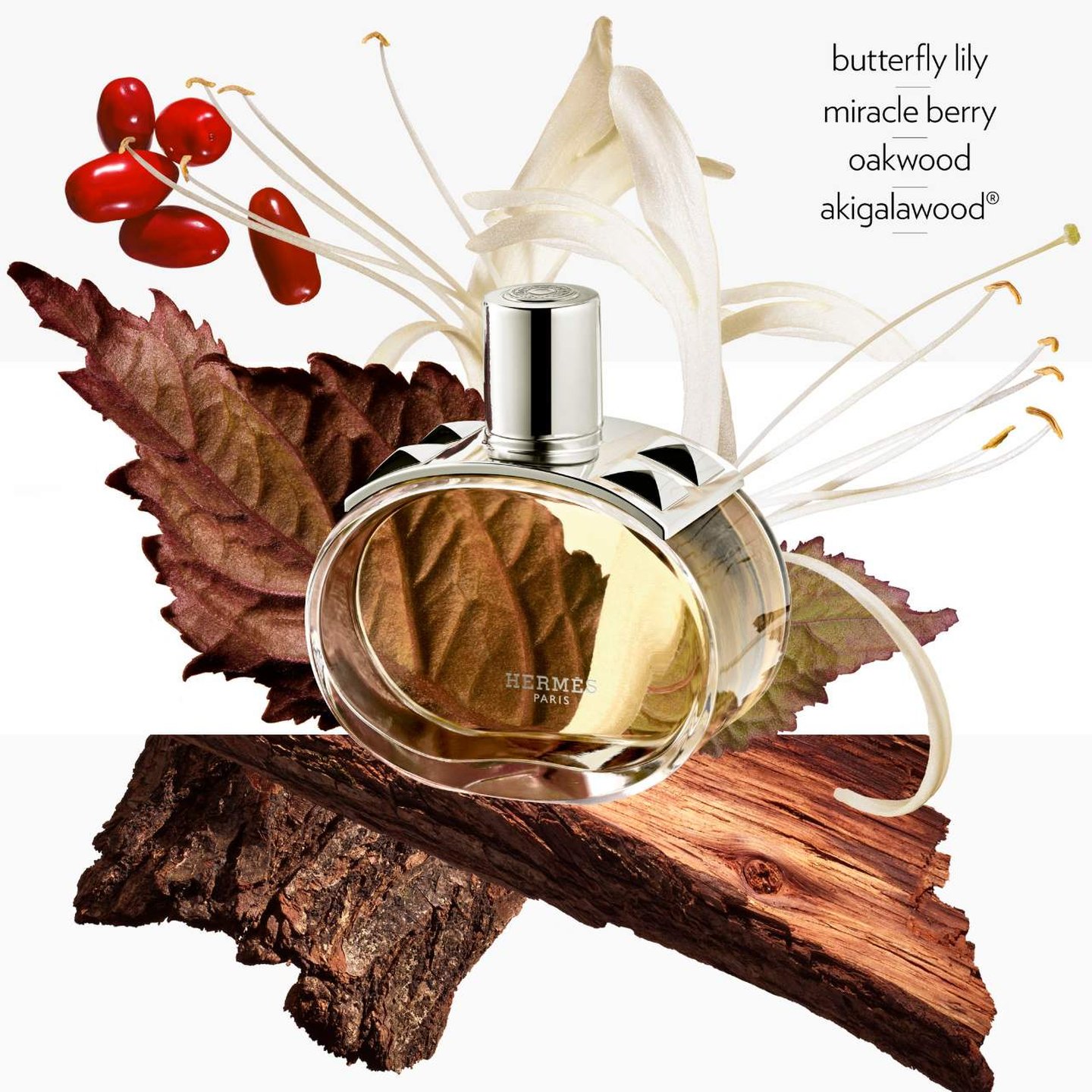 【本物保証】 Parfum De Eau Barénia Gift Shop Health Women's | Set 香水(男性用)