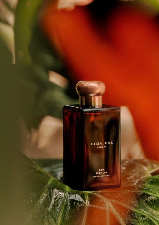 驚きの値段 Red Hibiscus Shop Health Women's | Intense Cologne 香水(女性用)